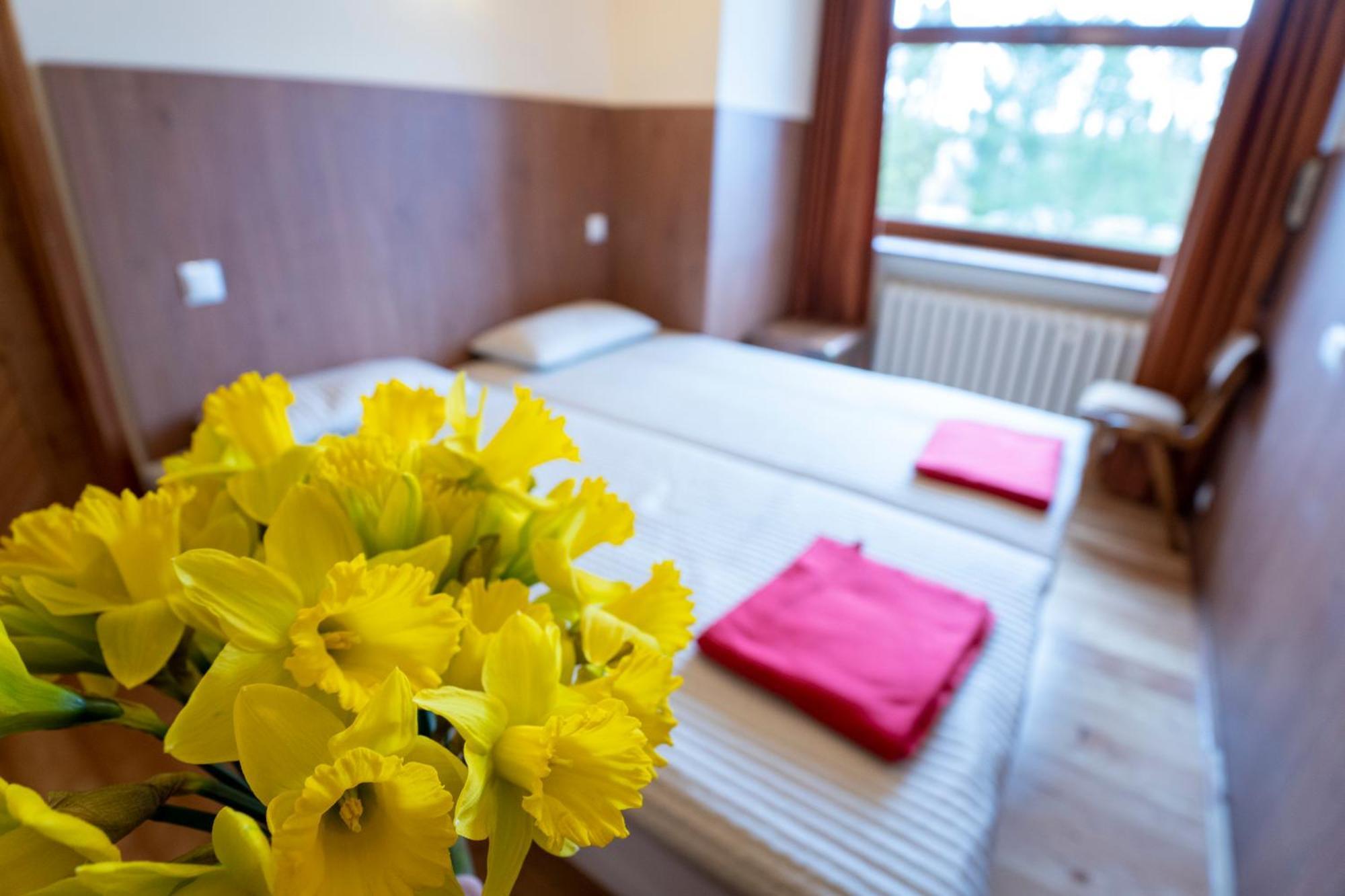 Apartament Alina *