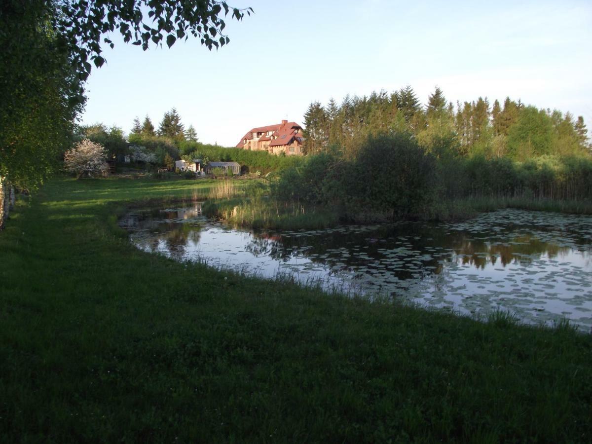Apartament Alina Apartment *